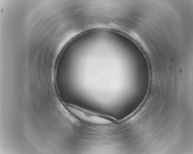 X0000088621232200706151844