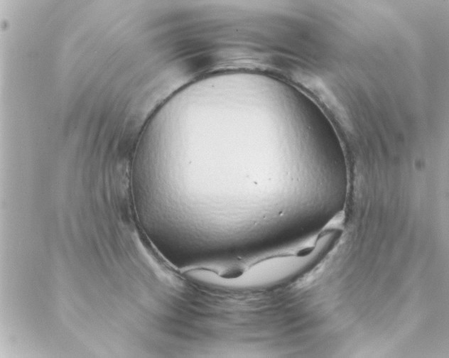 X0000088621233200706151844