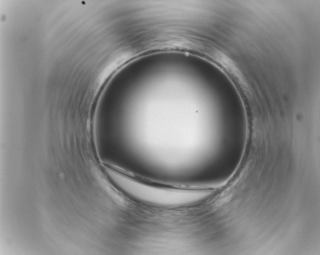 X0000088621234200706151844