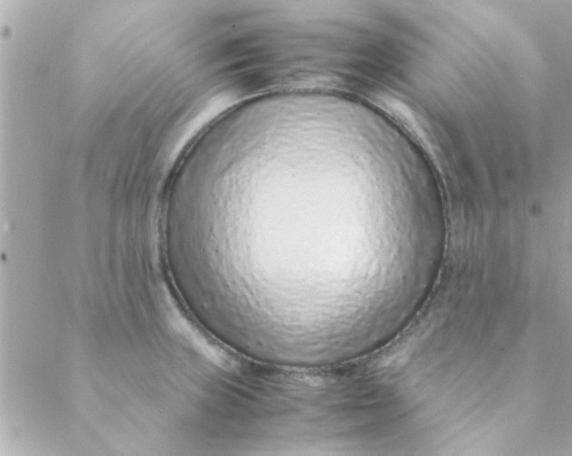 X0000088621235200706151844