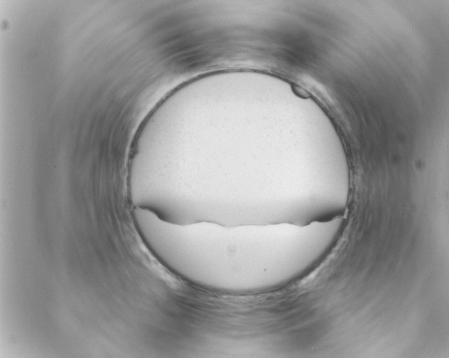 X0000088621236200706151844