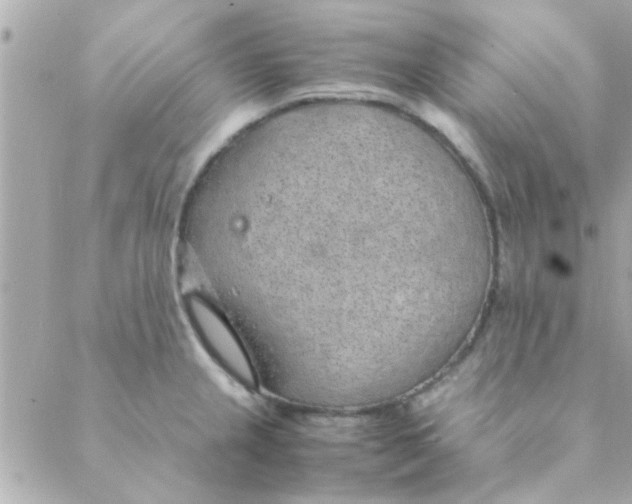 X0000088621237200706151844