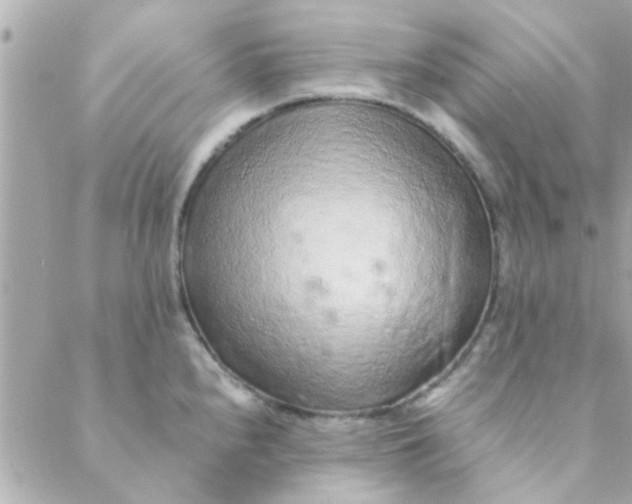 X0000088621240200706151844