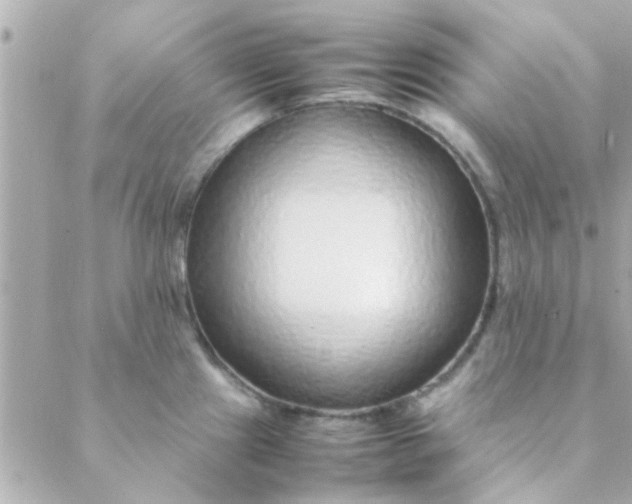 X0000088621241200706151844