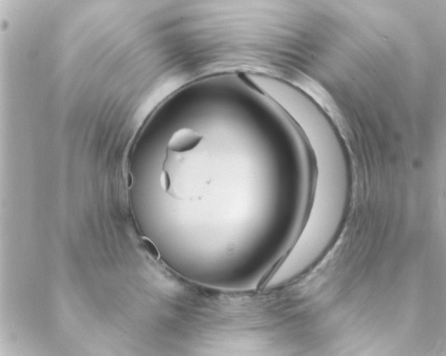 X0000088621242200706151844