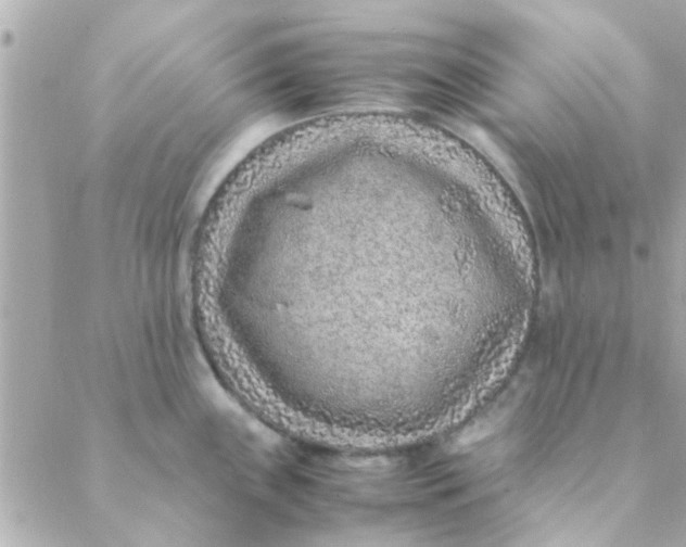 X0000088621243200706151844