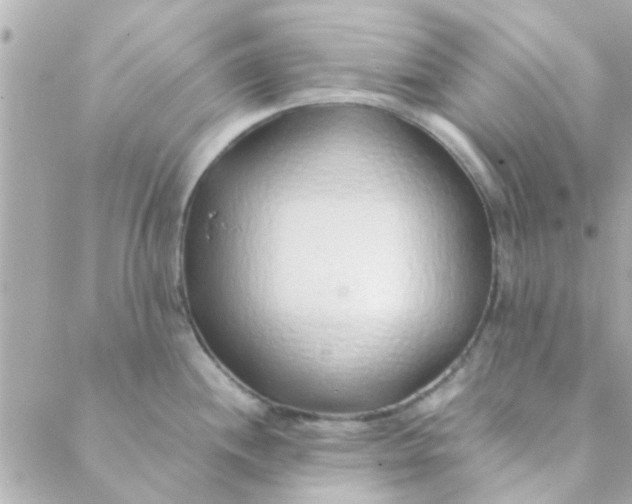 X0000088621244200706151844