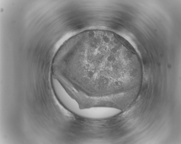 X0000088621245200706151844