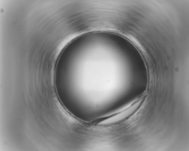 X0000088621246200706151844