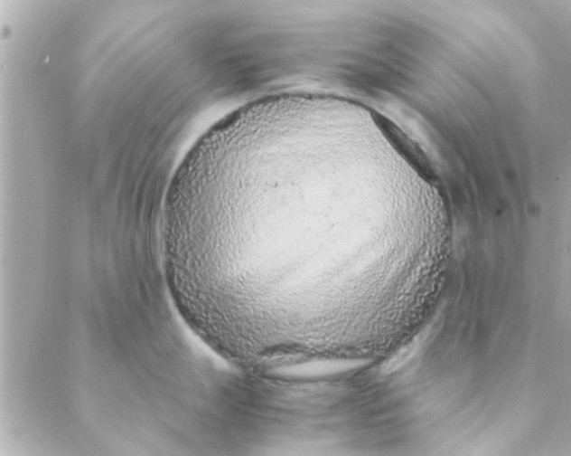 X0000088621247200706151844