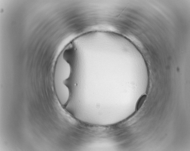 X0000088621248200706151844