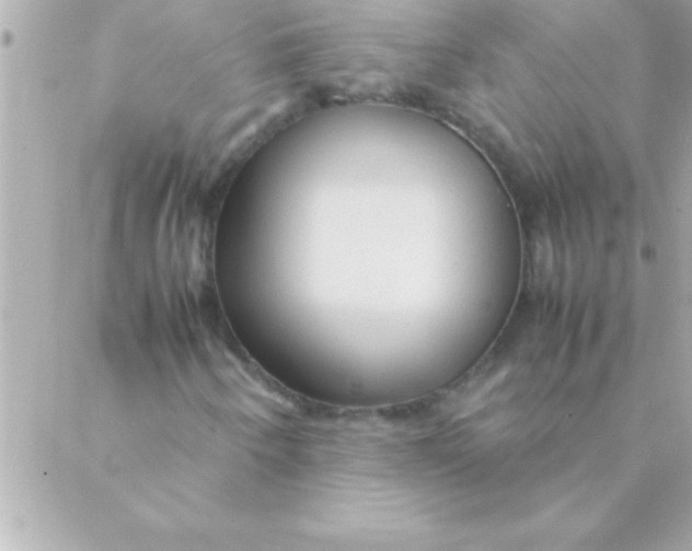 X0000088621250200706151843