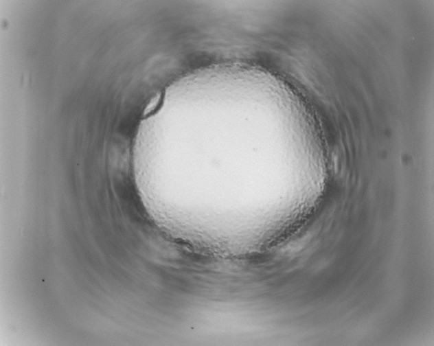 X0000088621251200706151843