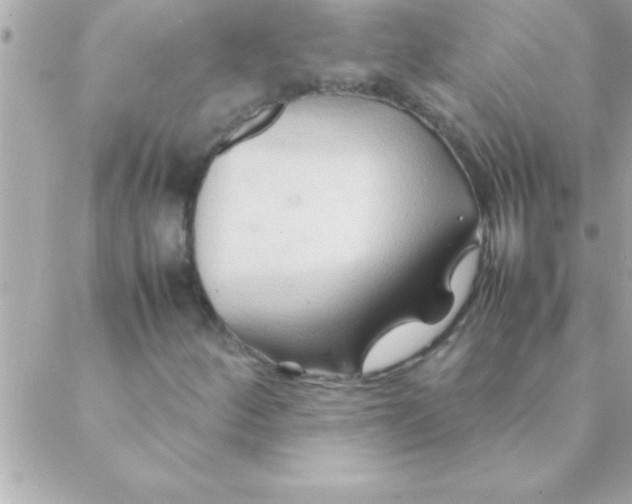 X0000088621252200706151843