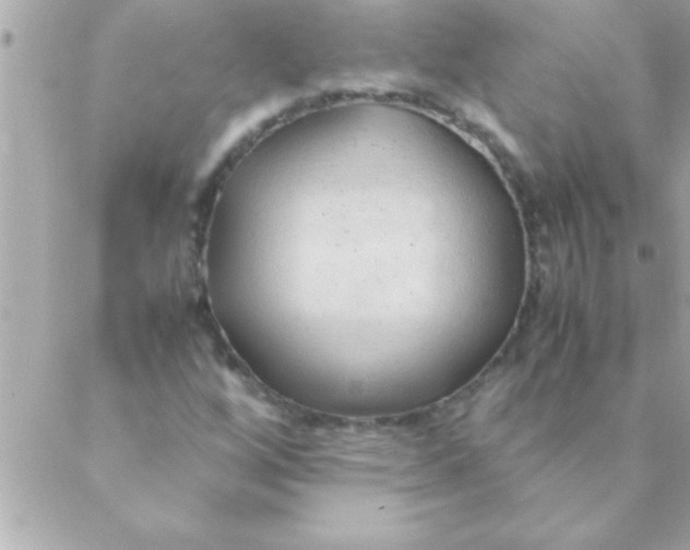 X0000088621256200706151843