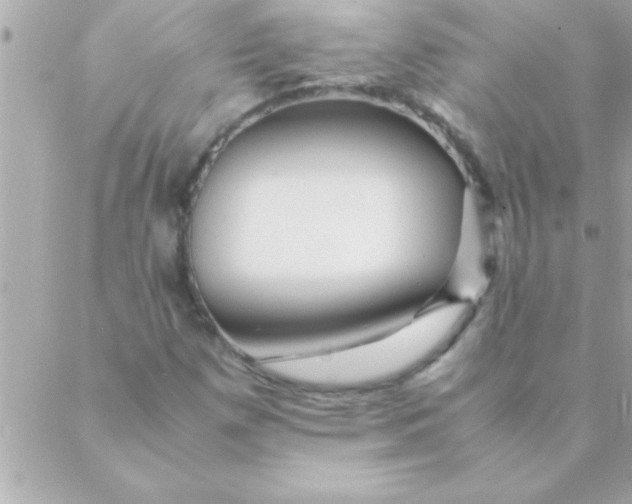 X0000088621257200706151843