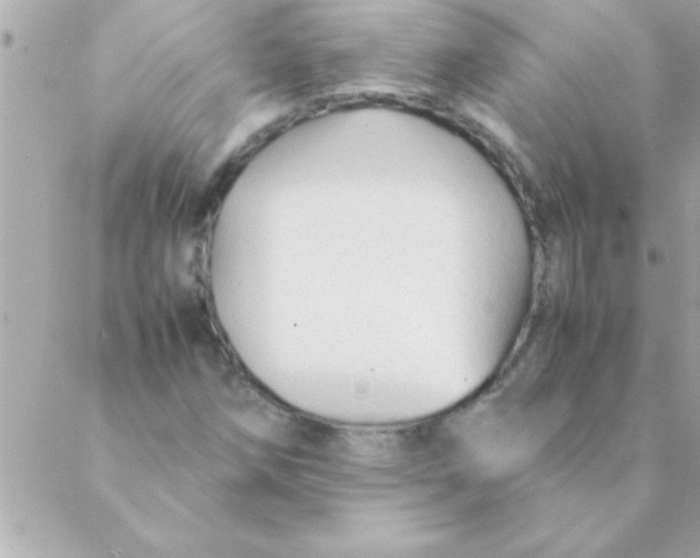 X0000088621258200706151843