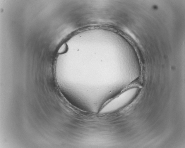 X0000088621259200706151843