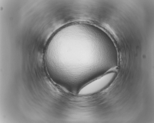 X0000088621260200706151843