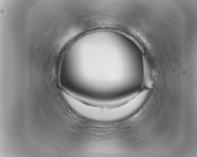 X0000088621261200706151843