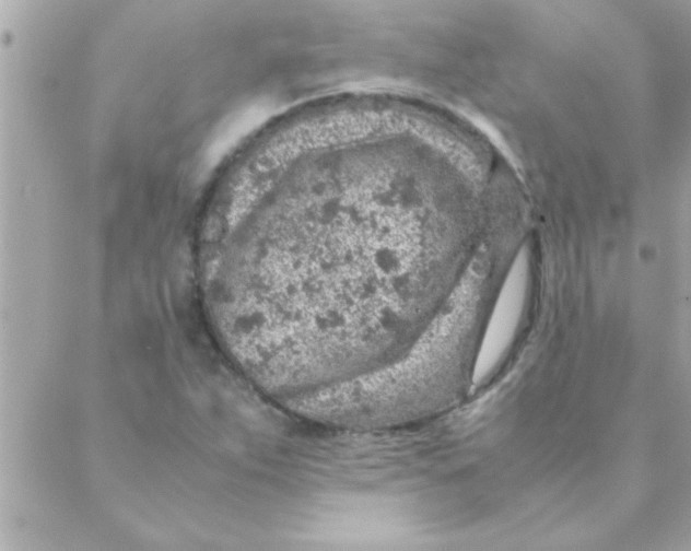 X0000088621263200706151843