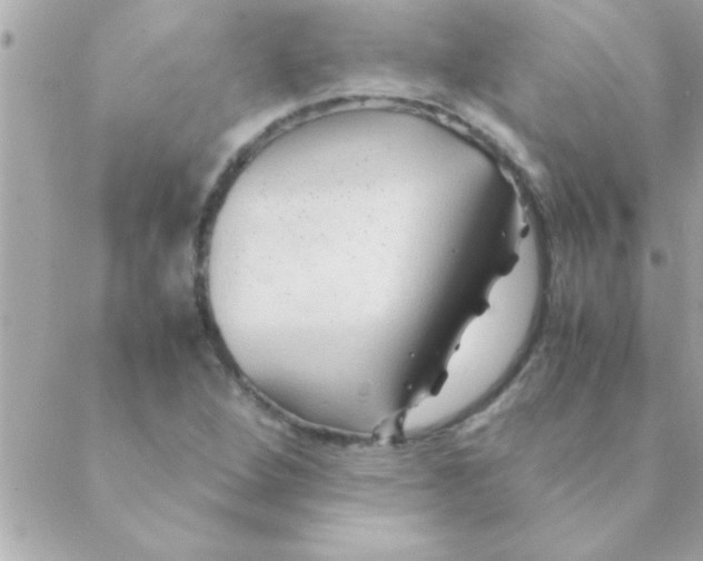 X0000088621264200706151843