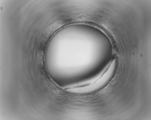 X0000088621265200706151843