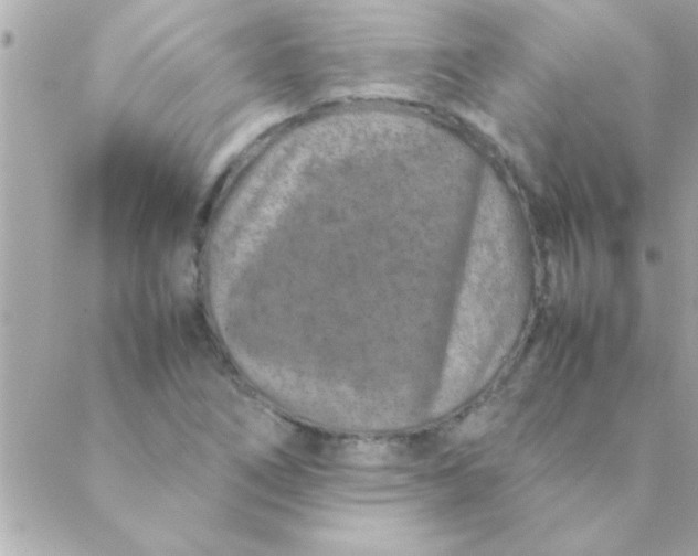 X0000088621266200706151843