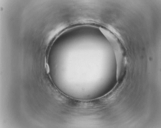 X0000088621269200706151843