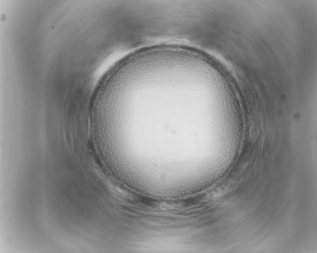 X0000088621271200706151843