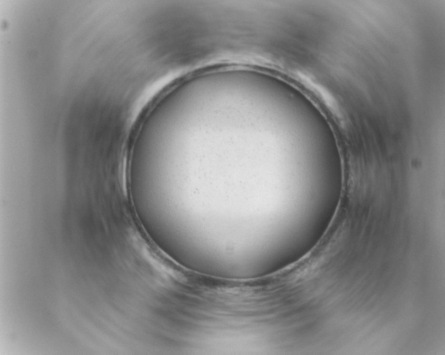 X0000088621272200706151843