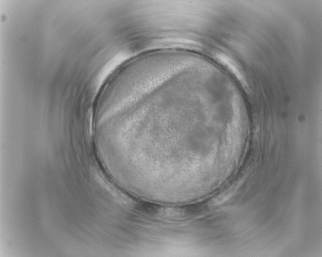 X0000088621275200706151843