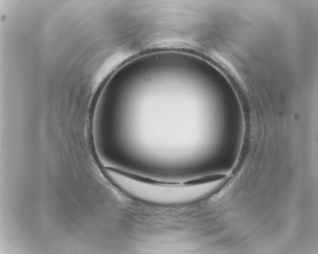 X0000088621277200706151843