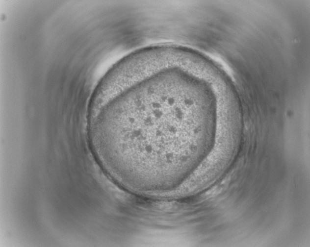 X0000088621279200706151843