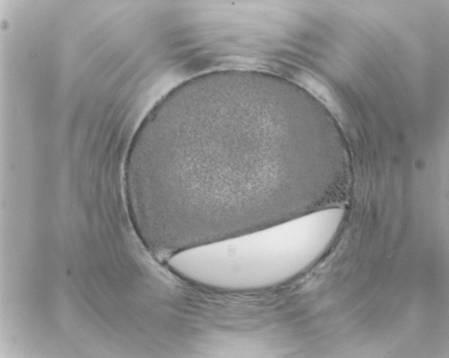 X0000088621283200706151843