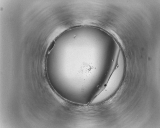 X0000088621285200706151843