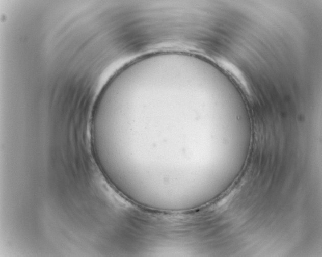 X0000088621288200706151843