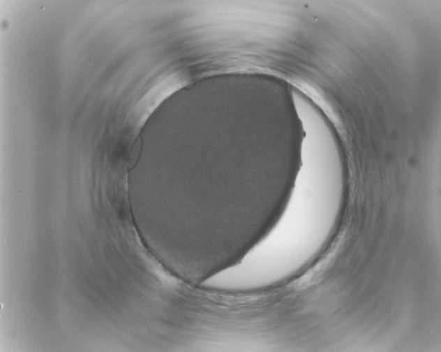 X0000088621289200706151843