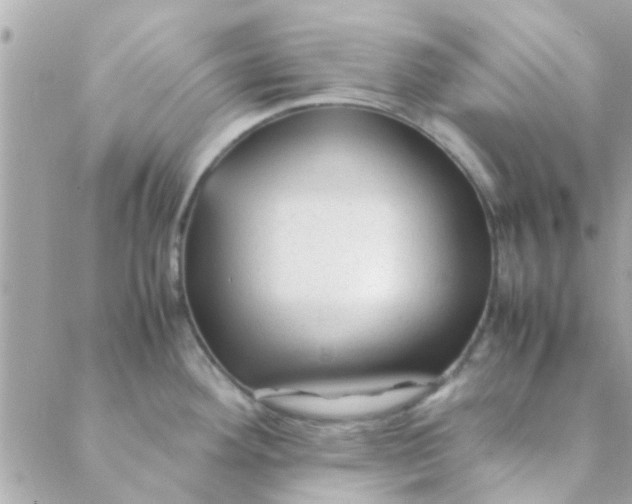 X0000088621292200706151843