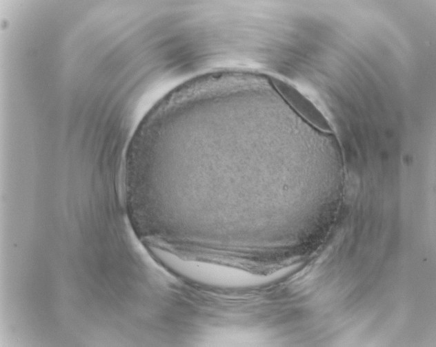 X0000088621295200706151843