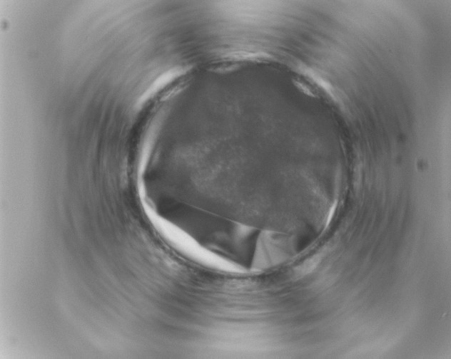 X0000088621306200706151842