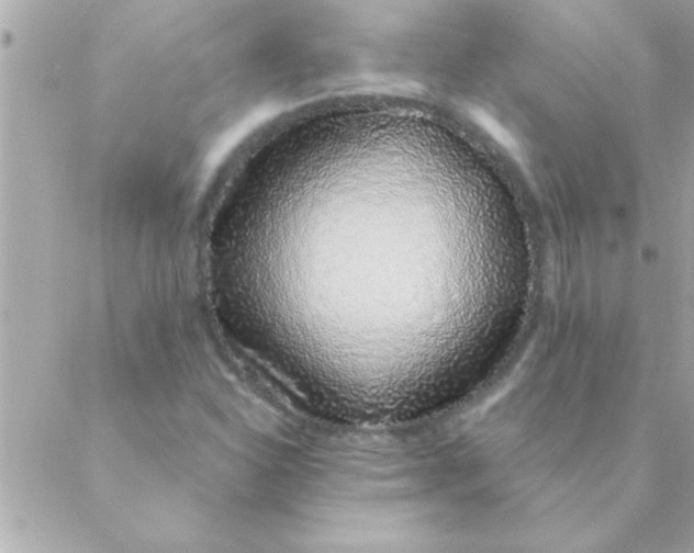 X0000088621310200706151842
