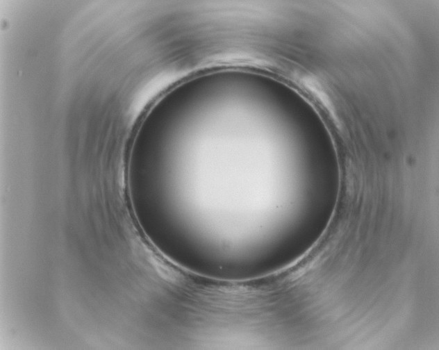 X0000088621328200706151842