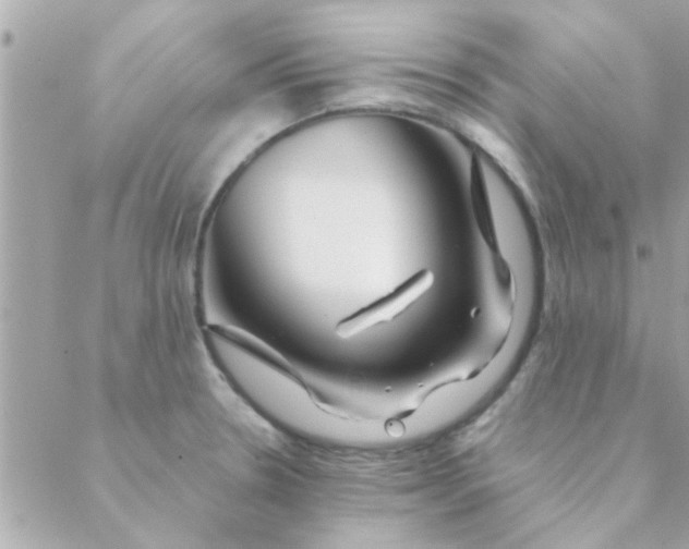 X0000088621330200706151842