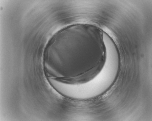 X0000088621334200706151842