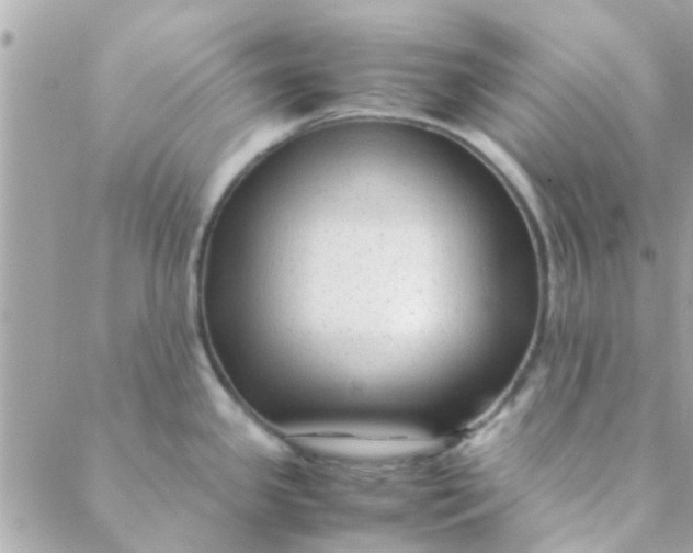 X0000088621341200706151842