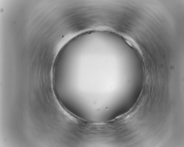 X0000088621343200706151843