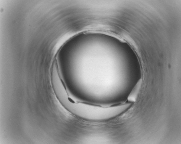 X0000088621344200706151843