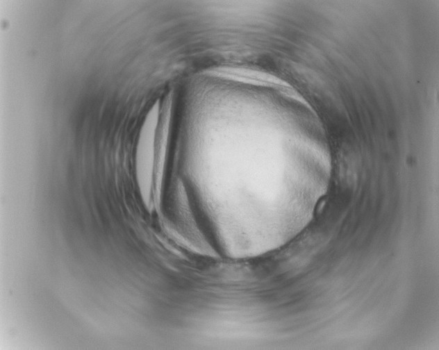 X0000088621346200706151842