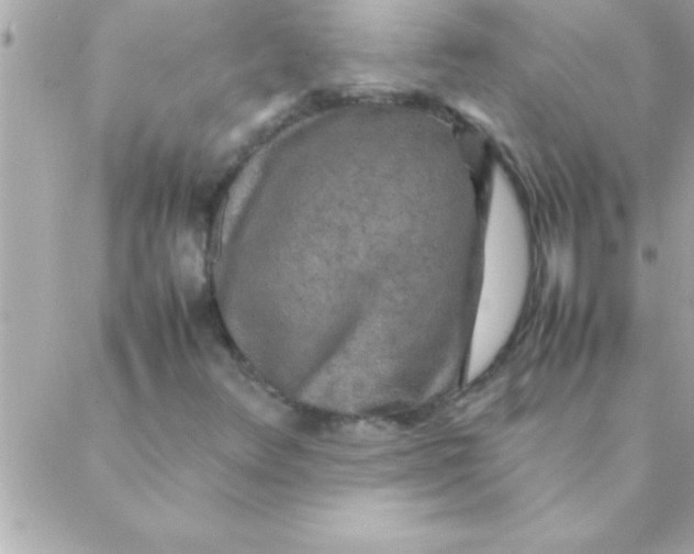 X0000088621348200706151842